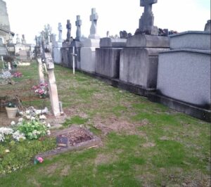 revégétalisation - cimetière