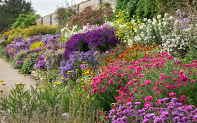 Égayer votre jardin avec des massifs floraux